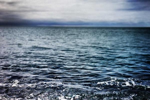 Conseils professionnels de location de maison pour vendre votre maison rapidement